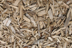 biomass boilers Treworga