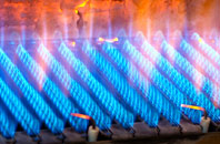 Treworga gas fired boilers